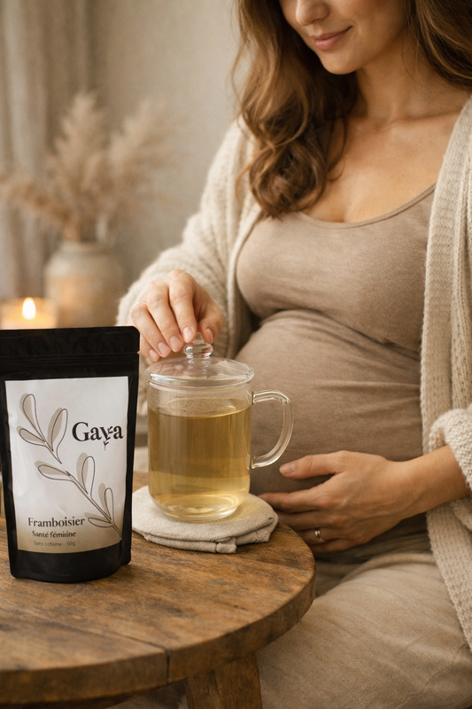 Tisane de feuille de framboisier