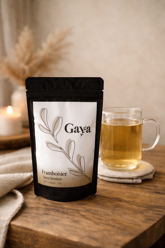 Tisane de feuille de framboisier