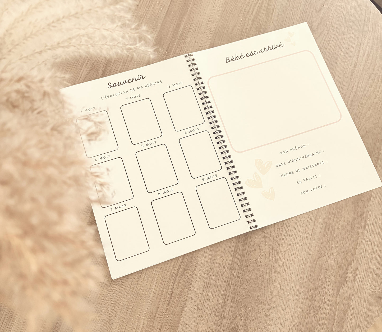 Mon journal de grossesse